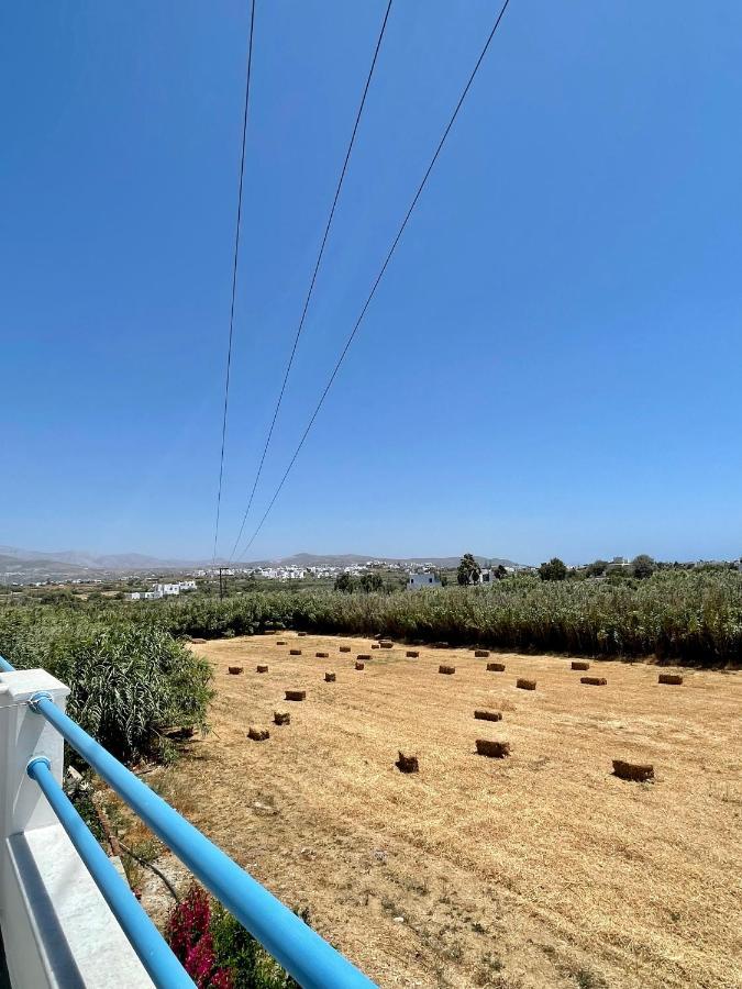 Dimora Miranda Apartment Agios Prokopios  Luaran gambar